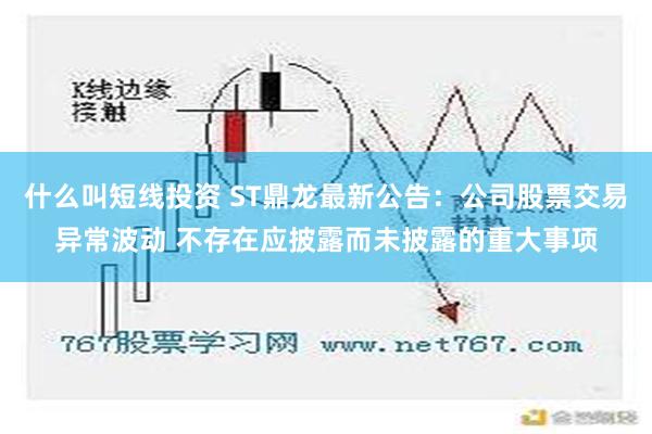 什么叫短线投资 ST鼎龙最新公告：公司股票交易异常波动 不存在应披露而未披露的重大事项