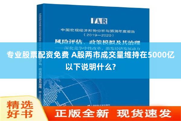 专业股票配资免费 A股两市成交量维持在5000亿以下说明什么?