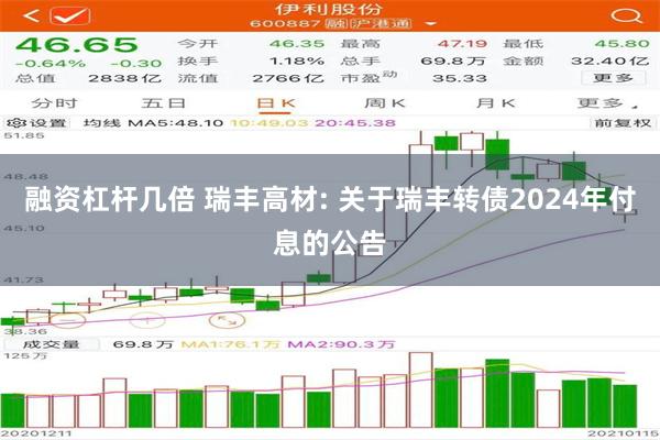 融资杠杆几倍 瑞丰高材: 关于瑞丰转债2024年付息的公告