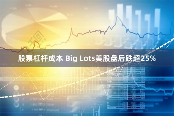 股票杠杆成本 Big Lots美股盘后跌超25%