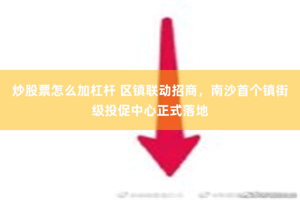 炒股票怎么加杠杆 区镇联动招商，南沙首个镇街级投促中心正式落地