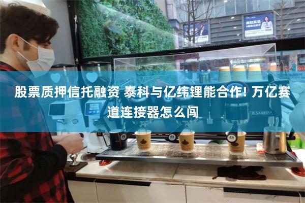 股票质押信托融资 泰科与亿纬锂能合作! 万亿赛道连接器怎么闯