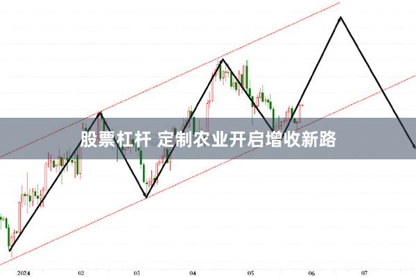 股票杠杆 定制农业开启增收新路