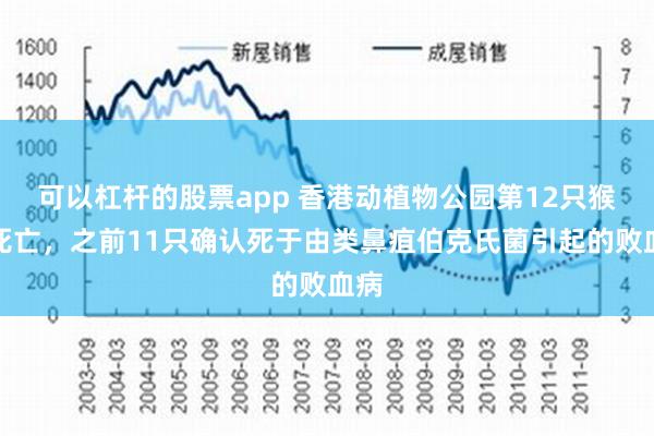 可以杠杆的股票app 香港动植物公园第12只猴子死亡，之前11只确认死于由类鼻疽伯克氏菌引起的败血病