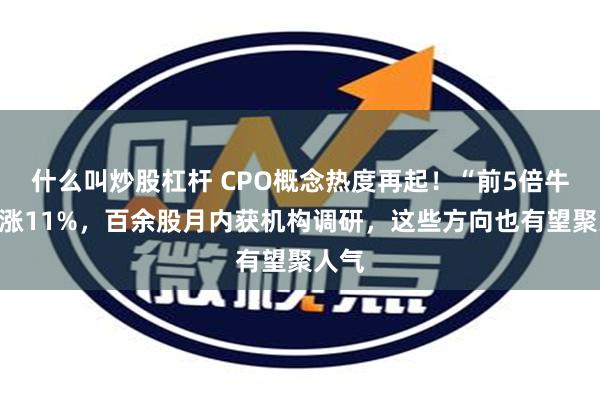 什么叫炒股杠杆 CPO概念热度再起！“前5倍牛”大涨11%，百余股月内获机构调研，这些方向也有望聚人气