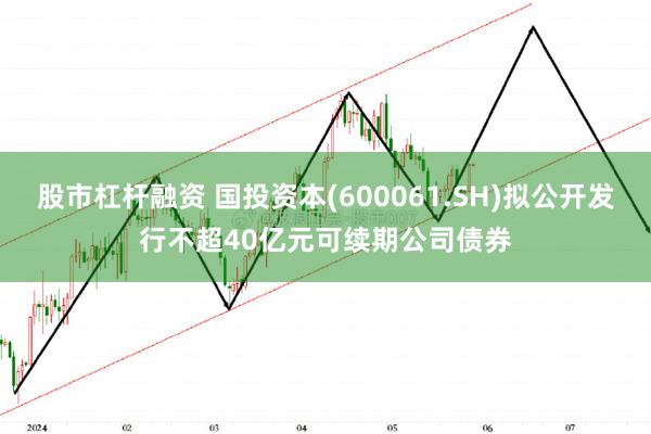 股市杠杆融资 国投资本(600061.SH)拟公开发行不超40亿元可续期公司债券