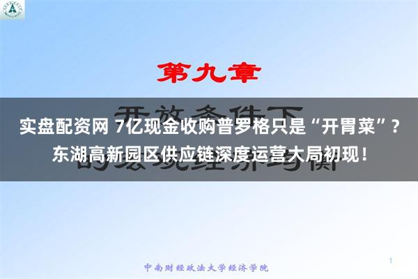 实盘配资网 7亿现金收购普罗格只是“开胃菜”？东湖高新园区供应链深度运营大局初现！