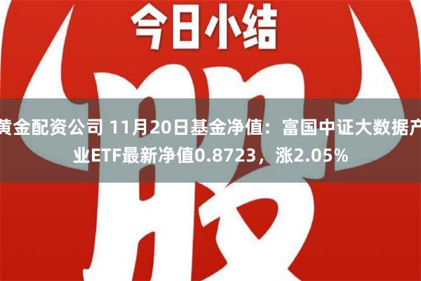 黄金配资公司 11月20日基金净值：富国中证大数据产业ETF最新净值0.8723，涨2.05%