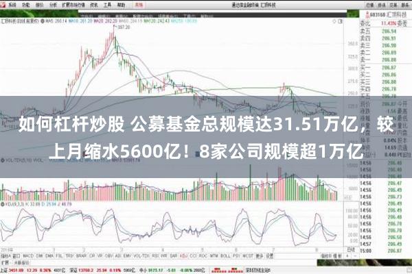 如何杠杆炒股 公募基金总规模达31.51万亿，较上月缩水5600亿！8家公司规模超1万亿