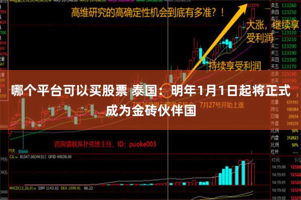 哪个平台可以买股票 泰国：明年1月1日起将正式成为金砖伙伴国